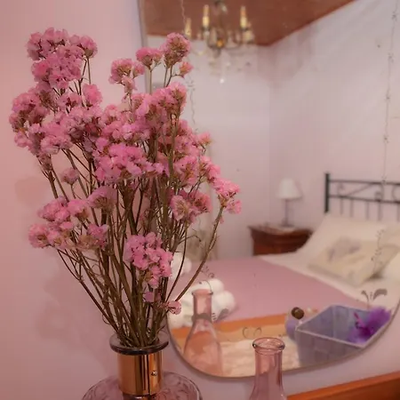 La Casa Del Gelsomino بيت ضيافة أكوافيفا بيسينا